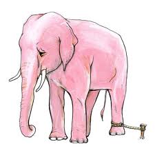 Pink Elephant