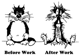 Work kills