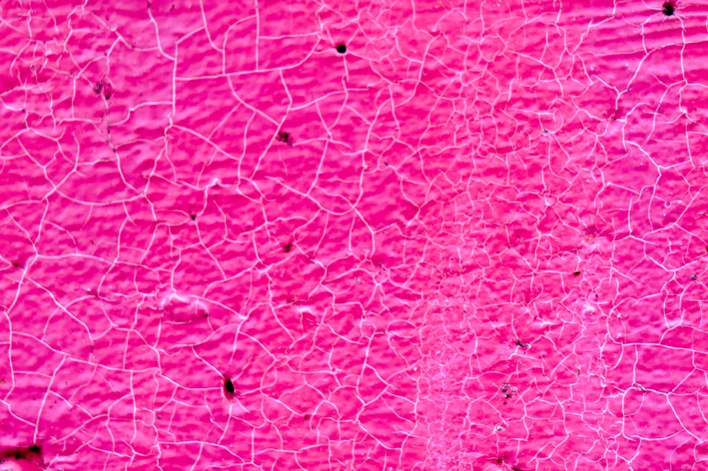 Stop Turning Red Flags Pink: Why Black Women Must Heal, Vet Better, and Leave&nbsp;Faster